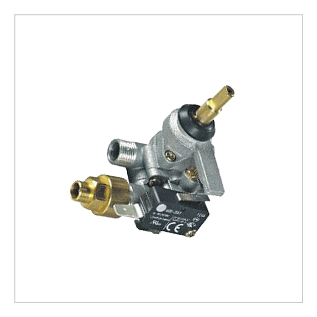 Gas Valve