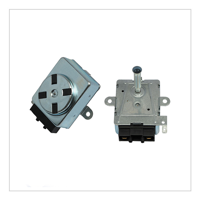 Grill Motor-1
