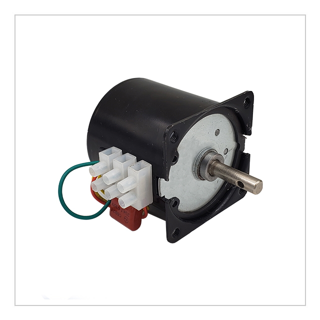 Grill Motor-2
