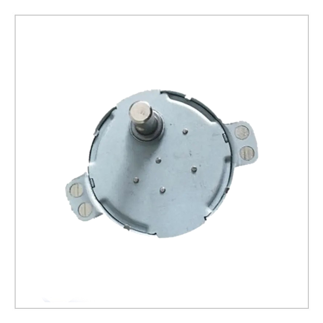 Grill Motor-4