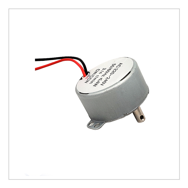 Grill Motor-3